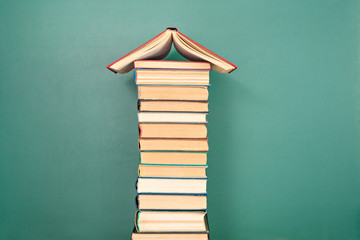 鉴宝专家马未都