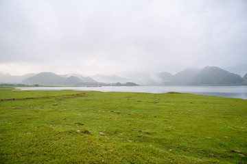 叶片一能进行光合作用着部位是（　　）A．只有表皮细胞B．只有叶肉细胞C．只有保卫细胞D．所有含叶绿体的