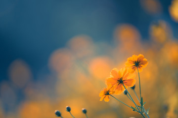 关于运动励志的心情说说句子有哪些