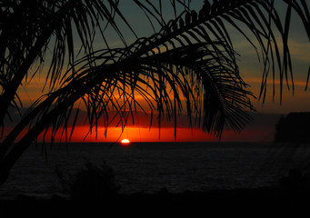 小学综合实践课优秀说课稿