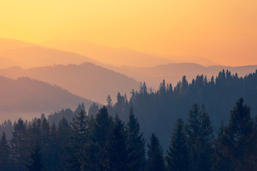 防灾减灾的内容怎么写 防灾减灾的内容有哪些