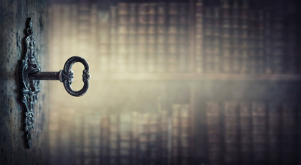 植物大战僵尸一共多少关 植物大战僵尸关卡介绍