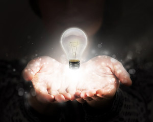 鉴宝专家马未都