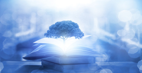 “你真是好样的”这句话是什么意思？