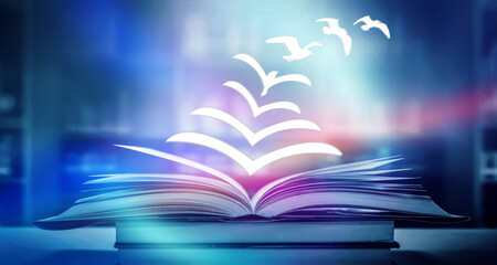 鉴宝专家马未都