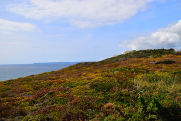 六个白手起家的创业案例