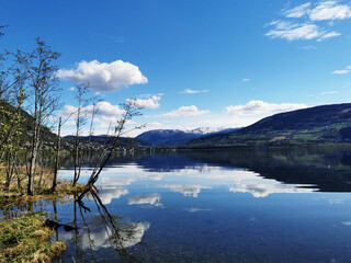 植树节从那年开始的