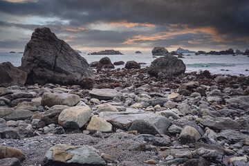村上春树哪几本书比较好看呢？