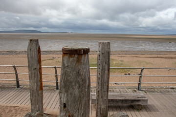 小学综合实践课优秀说课稿