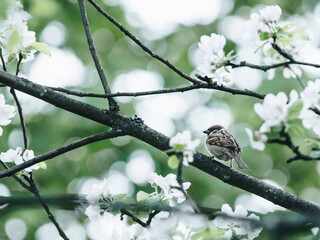 展望未来精辟短句