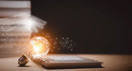 鉴宝专家马未都