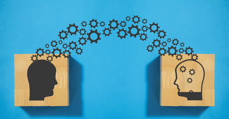 防灾减灾的内容怎么写 防灾减灾的内容有哪些