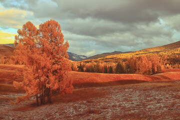 小学综合实践课优秀说课稿
