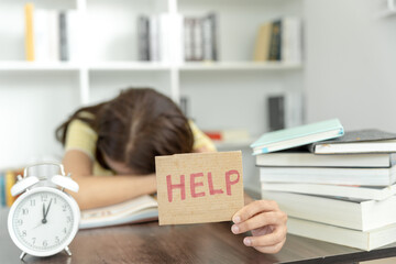 鉴宝专家马未都