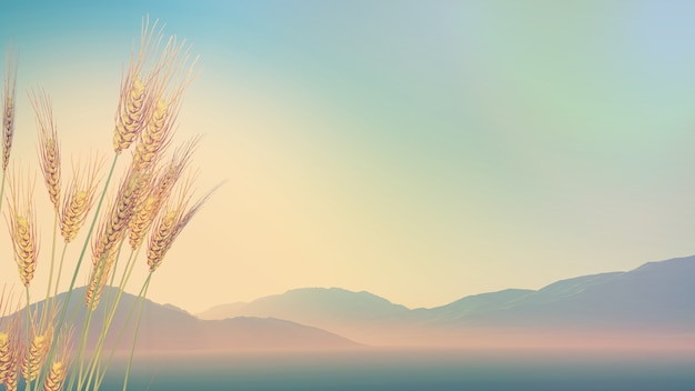 鉴宝专家马未都