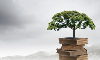 六个白手起家的创业案例