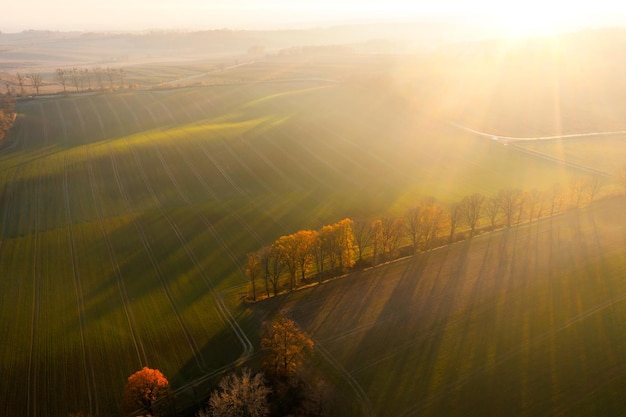 鉴宝专家马未都