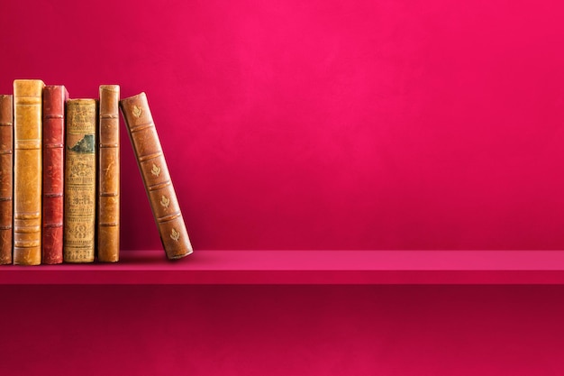 植物大战僵尸一共多少关 植物大战僵尸关卡介绍